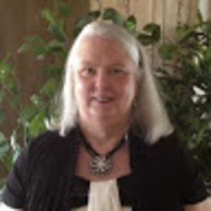 Meet your Posher, Zebra